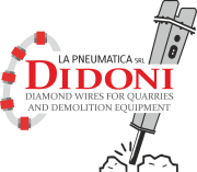 DIDONI 22 logo